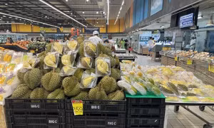 Thái Lan gặp khó khăn khi xuất khẩu sầu riêng