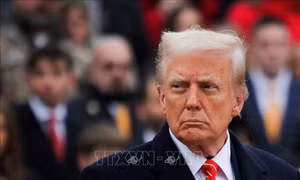 Tân Tổng thống Mỹ Donald Trump ký gần 100 sắc lệnh hành pháp