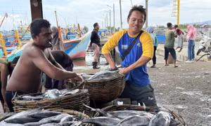 Lampulo - Cảng cá lớn nhất ở Aceh, Indonesia