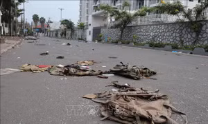 Congo và Rwanda cam kết ngừng bắn trong cuộc họp bất ngờ tại Qatar