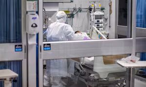Thái Lan tăng cường kiểm soát khi virus H5N1 lây sang động vật có vú