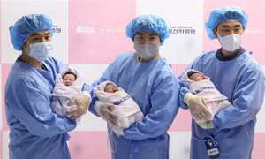 Hàn Quốc: Tín hiệu sáng trong khủng hoảng tỷ suất sinh