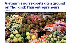 Báo Thái Lan: Nông sản nước này sẽ sớm bị Việt Nam vượt mặt
