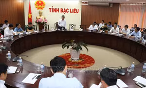 Kêu gọi tàu thuyền khẩn trương vào bờ, tìm nơi trú bão an toàn