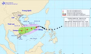 Tin nổi bật ngày 3/11