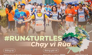 Giải chạy '#Run4Turtles 2023' nhằm nâng cao nhận thức về bảo tồn loài rùa