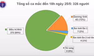 Ngày 25/5: Cách ly kịp thời ca mắc COVID-19 từ Pháp về; bệnh nhân phi công người Anh vẫn hôn mê