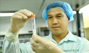Tin nổi bật ngày 21/12