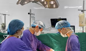 Ngày hội đăng ký hiến tặng mô, tạng tại Quảng Ninh