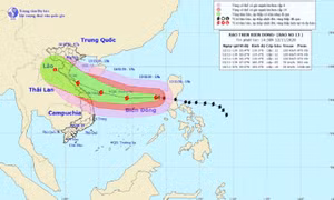Tin nổi bật ngày 12/11