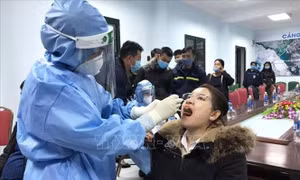Tin nổi bật ngày 15/2