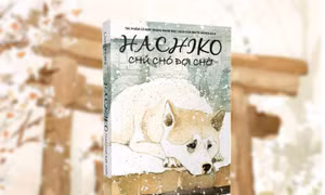 Hachiko - chú chó đợi chờ