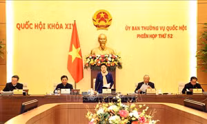 Tin nổi bật ngày 11/1