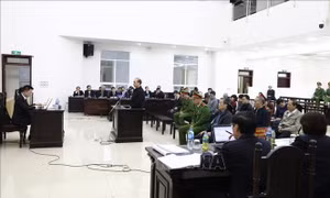 ‘Nóng’ phiên toà xử hai cựu Bộ trưởng; phê bình Bộ NN&PTNT vì giá thịt lợn tăng cao; tìm giải pháp cho môi trường không khí