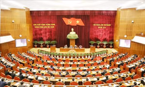Tổng Bí thư, Chủ tịch nước chủ trì một số cuộc họp quan trọng; Hội nghị Trung ương 10 quyết định nhiều vấn đề lớn