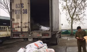 Phát hiện 1 tấn chân trâu bò đã bốc mùi hôi thối trong xe chở hàng quá trọng tải