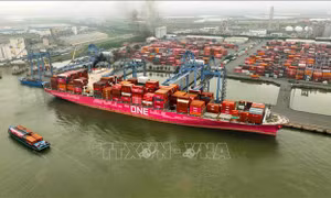 Thuế đối ứng Hoa Kỳ 20%: Cơ hội và thách thức cho doanh nghiệp Việt đa dạng hóa thị trường xuất khẩu