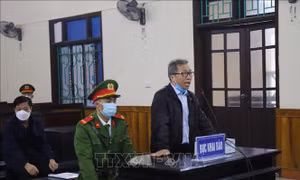 Lĩnh án chung thân về tội 'Lừa đảo chiếm đoạt tài sản'