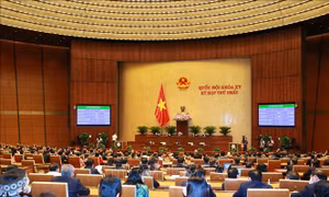 Chủ động, linh hoạt áp dụng các biện pháp phòng, chống dịch COVID-19