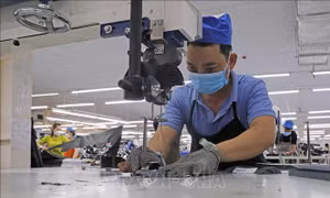 Hỗ trợ doanh nghiệp thích ứng với những biến động trong tương lai