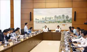 Đẩy mạnh phân cấp, phân quyền trong lĩnh vực quy hoạch, đầu tư kinh doanh