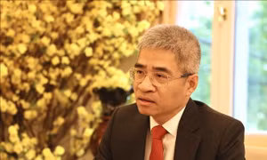 Quan hệ Việt Nam - Đức: Nửa thế kỷ đồng hành hướng tới động lực mới