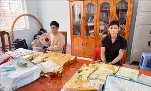 Bắt 2 đối tượng liên quan vụ vận chuyển số lượng lớn ma túy từ nước ngoài về Việt Nam