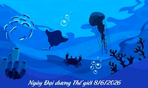 Ngày Đại dương Thế giới 8/6/2026