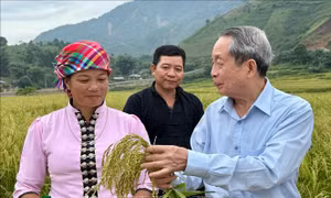 Viện sĩ của nhà nông