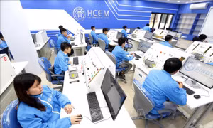 Phổ cập kỹ năng và phát triển nguồn nhân lực chuyển đổi số quốc gia