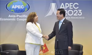 Chủ tịch nước Võ Văn Thưởng gặp Tổng thống Peru, khẳng định tăng cường hợp tác