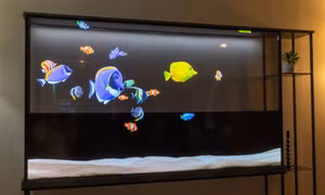 LG Electronics 'trình làng' TV màn hình OLED trong suốt không dây đầu tiên trên thế giới