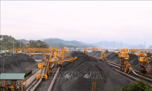 Ngành than phát công điện khẩn bảo vệ an toàn người, tài sản sau bão số 5