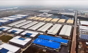 Việc phát triển bất động sản công nghiệp đòi hỏi nguồn vốn tương đối cao. Ảnh: Danh Lam/TTXVN.