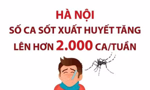 Hà Nội: Số ca sốt xuất huyết tăng lên hơn 2.000 ca/tuần