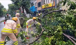 Chiều tối 7/9, khu vực nội đô Hà Nội gió tăng lên cấp 8, giật cấp 10