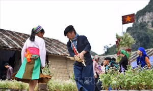 Nhớ Hà Giang