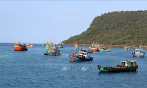 Xử phạt hành chính hơn 1,6 tỷ đồng đối với chủ 4 tàu cá vi phạm Nghị định 42