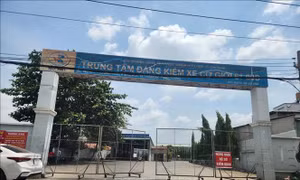 Bình Dương: Bắt giữ lãnh đạo và đăng kiểm viên Trung tâm đăng kiểm 61.09D