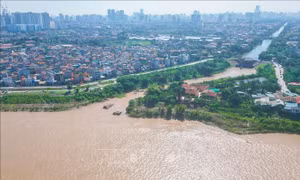 Thành lập 4 Ủy ban lưu vực sông khu vực Bắc Bộ, Bắc Trung Bộ, Nam Trung Bộ, Đông Nam Bộ