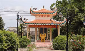 Đồng Tháp Mười - 50 năm tỏa ngát hương sen - Bài 1: Cái nôi cách mạng