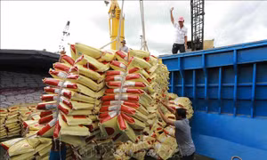 Phát triển kinh tế thị trường: Dấu ấn đổi mới của Việt Nam