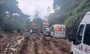 Xây dựng khẩn cấp khắc phục hậu quả thiên tai trên các tuyến quốc lộ 