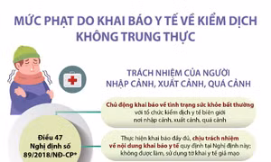 Mức phạt do khai báo y tế về kiểm dịch không trung thực
