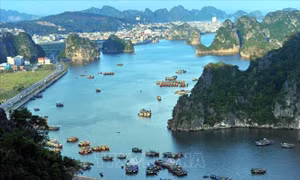Quảng Ninh chấn chỉnh hoạt động kinh doanh du lịch