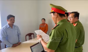 Khởi tố, tạm giam thương lái 'quỵt' tiền bán lúa của người dân