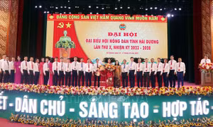 Hỗ trợ nông dân ứng dụng chuyển đổi số trong nông nghiệp
