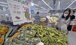 Mở đợt cao điểm kiểm tra chấp hành pháp luật về giá