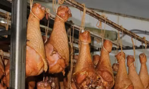 Trên 200 trường hợp nhiễm khuẩn đường ruột do ăn thịt gà tây