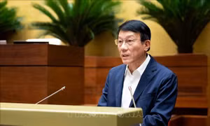 Quy định trình tự, thủ tục bắt người trong trường hợp khẩn cấp để dẫn độ